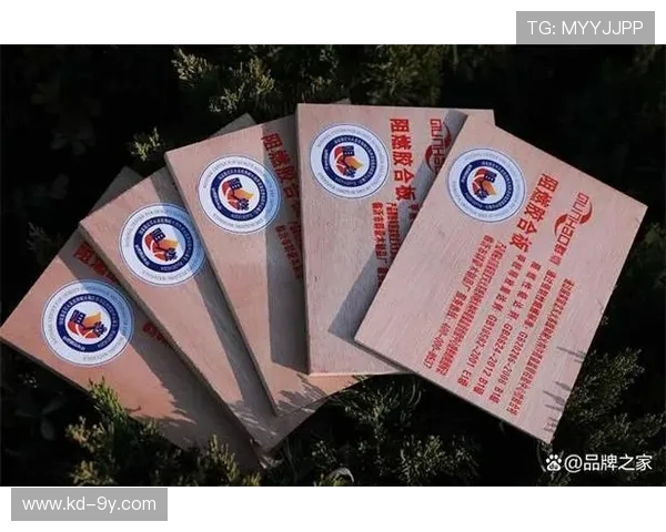 以点球在哪里点足球好为核心深入解析最佳罚球位置与技巧全方位指南